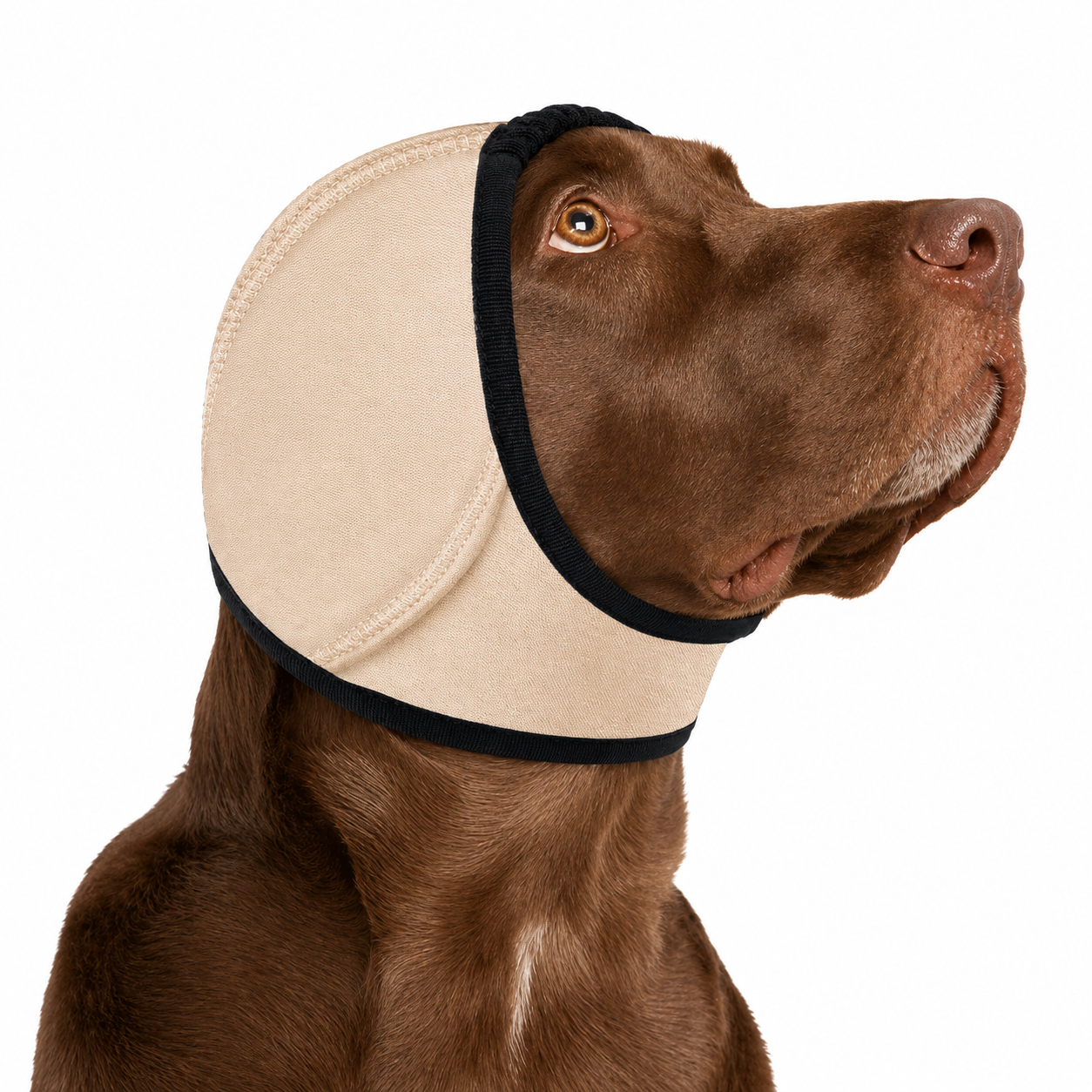 Sound-Dampening Dog Ear Wrap for Fireworks & Storm Anxiety š¶