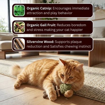 🐱MISOOMAE™ Catnip & Silvervine Chew(Buy 1 Get 1 Free)🎁
