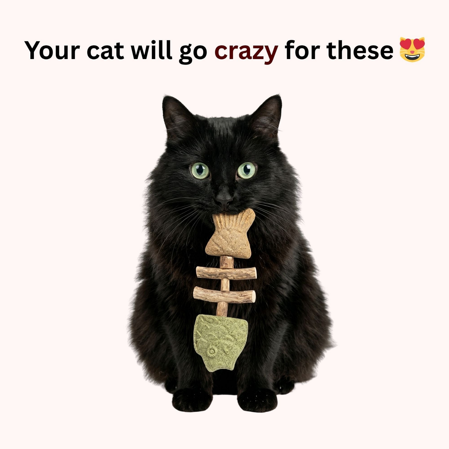 🐱MISOOMAE™ Catnip & Silvervine Chew(Buy 1 Get 1 Free)🎁