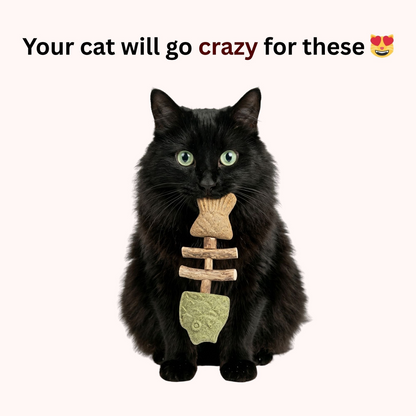 🐱MISOOMAE™ Catnip & Silvervine Chew(Buy 1 Get 1 Free)🎁
