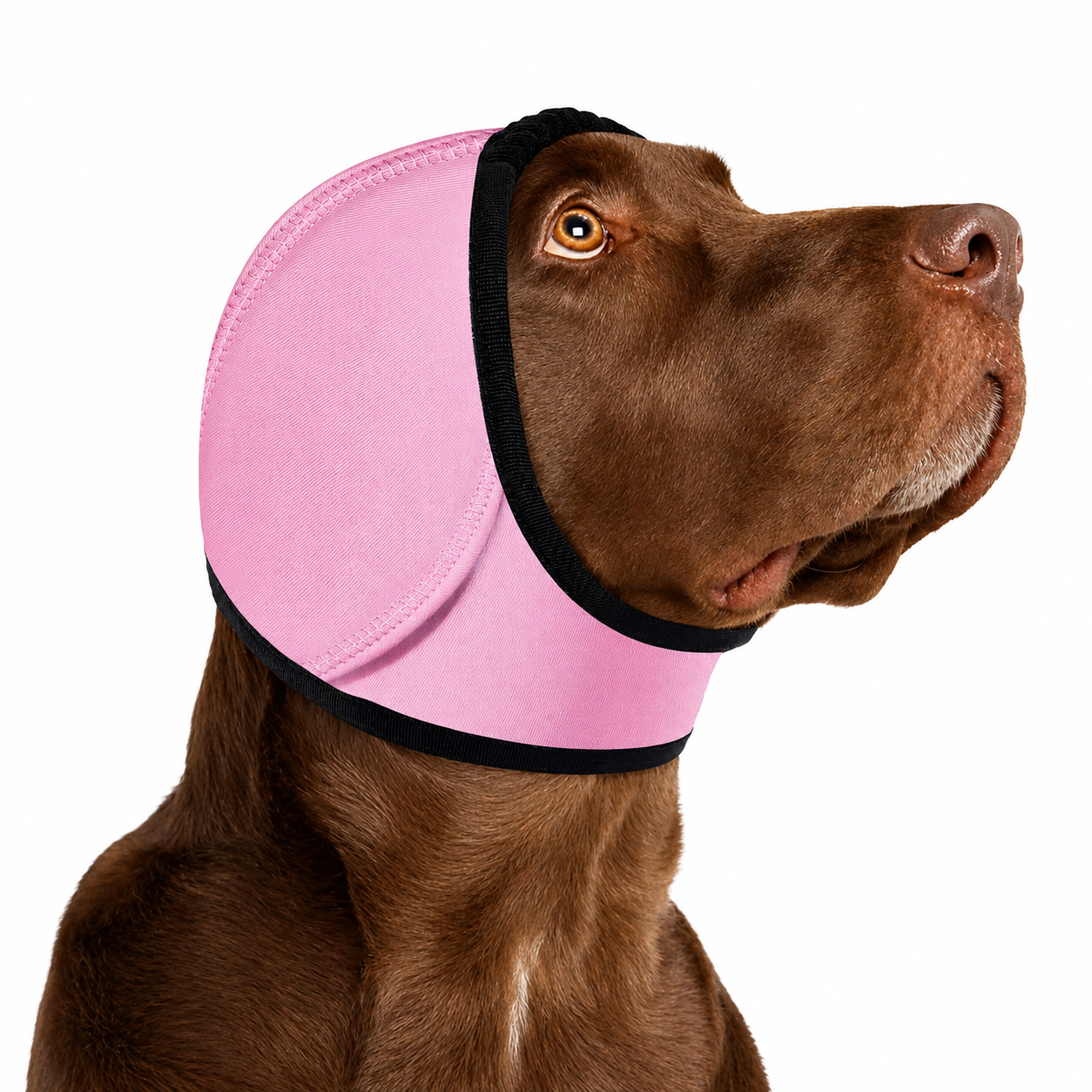 Sound-Dampening Dog Ear Wrap for Fireworks & Storm Anxiety 🐶