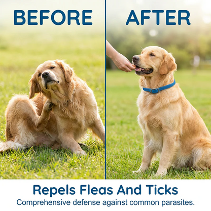 🔥 50% OFF Today 🐾 Natural Essential Oil Pet Pest Repellent Collar 🦟Safe Flea & Tick Protection for Dogs & Cats 💚