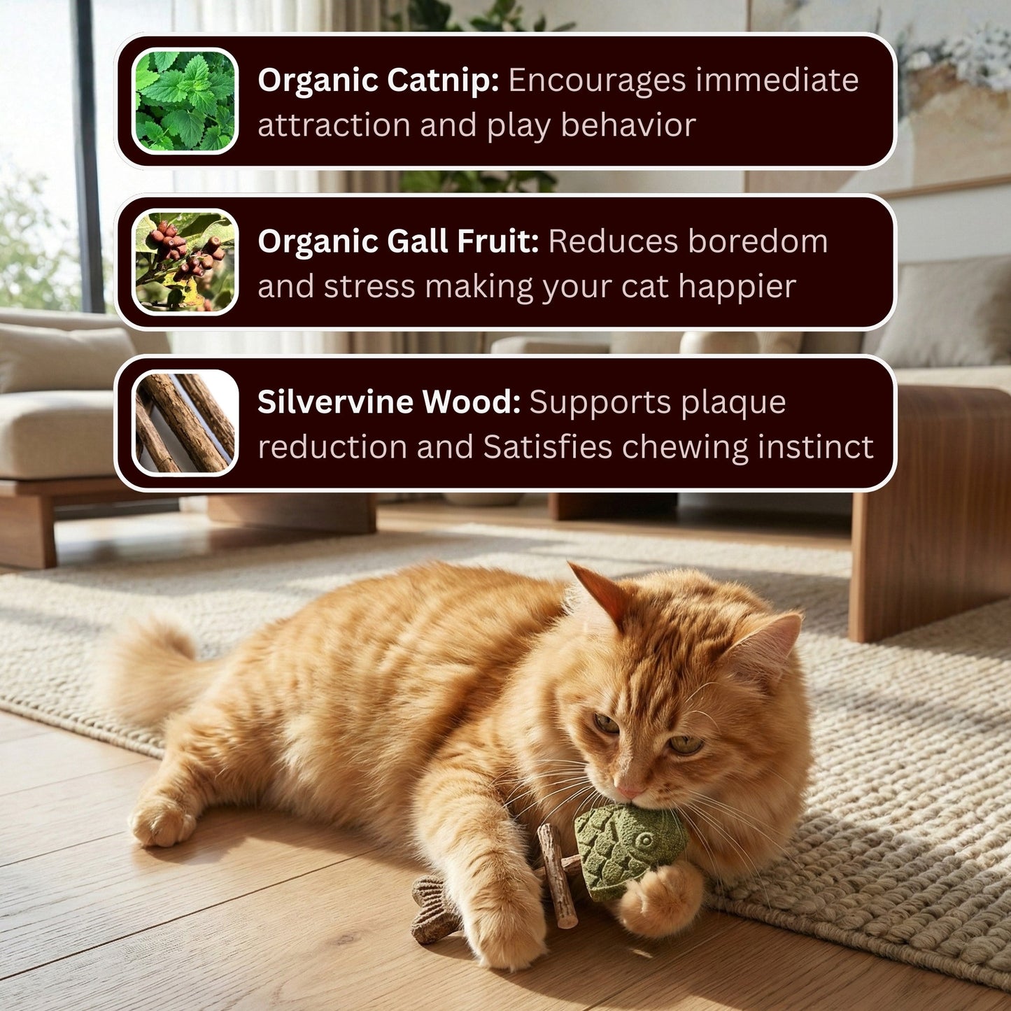 🐱MISOOMAE Catnip & Silvervine Chew(Buy 1 Get 1 Free)