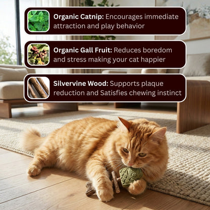 🐱MISOOMAE Catnip & Silvervine Chew(Buy 1 Get 1 Free)