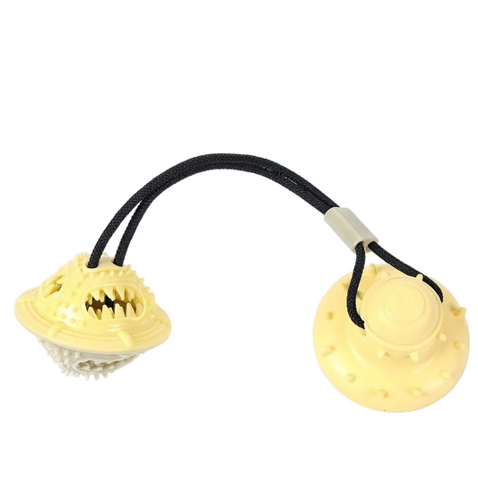 Dog TPR Molar Chew Toy