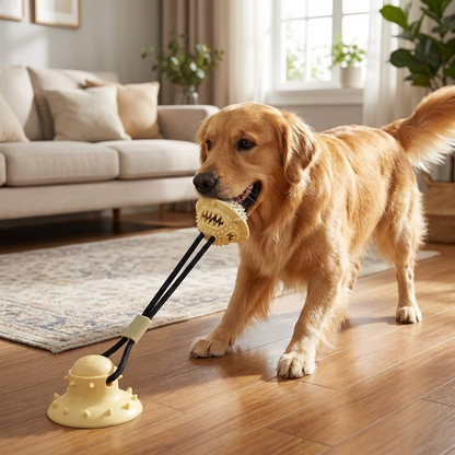 Dog TPR Molar Chew Toy
